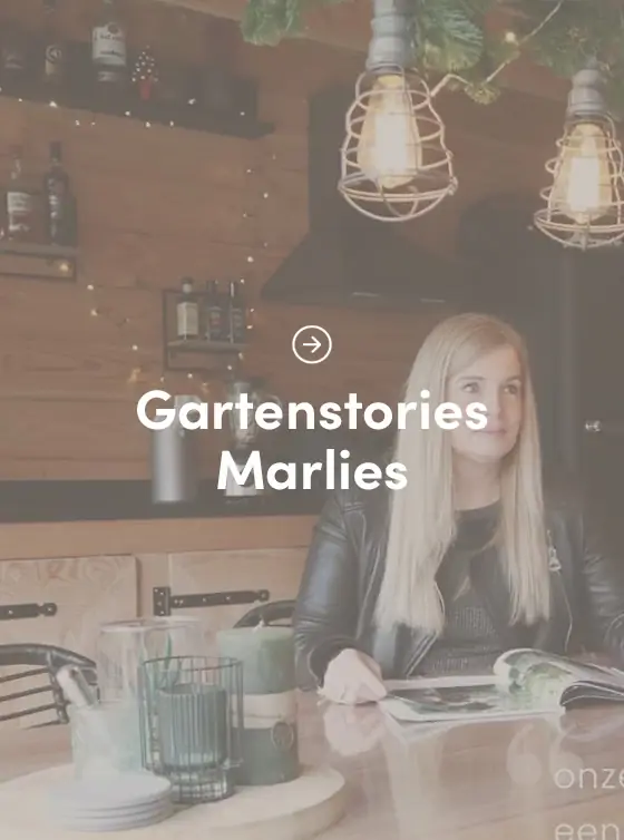 Marlies